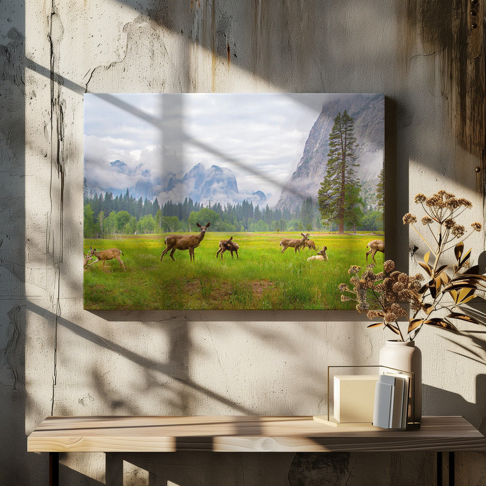Een gevoel van vervlogen tijden | Canvas