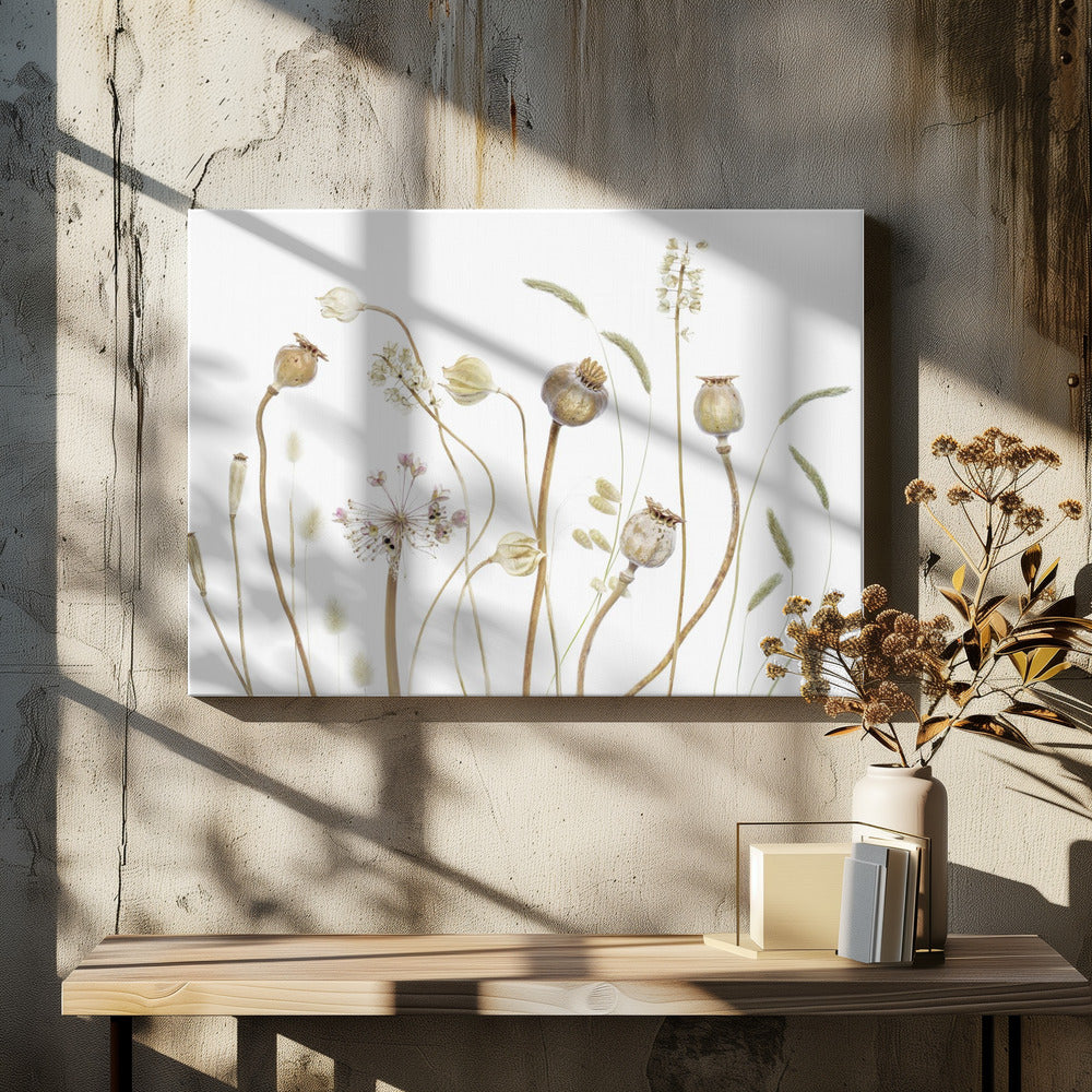 Pods | Canvas