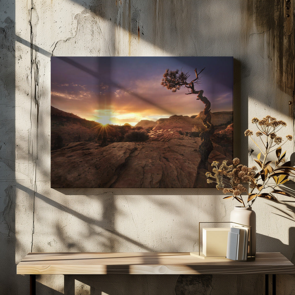 Vervormd | Canvas