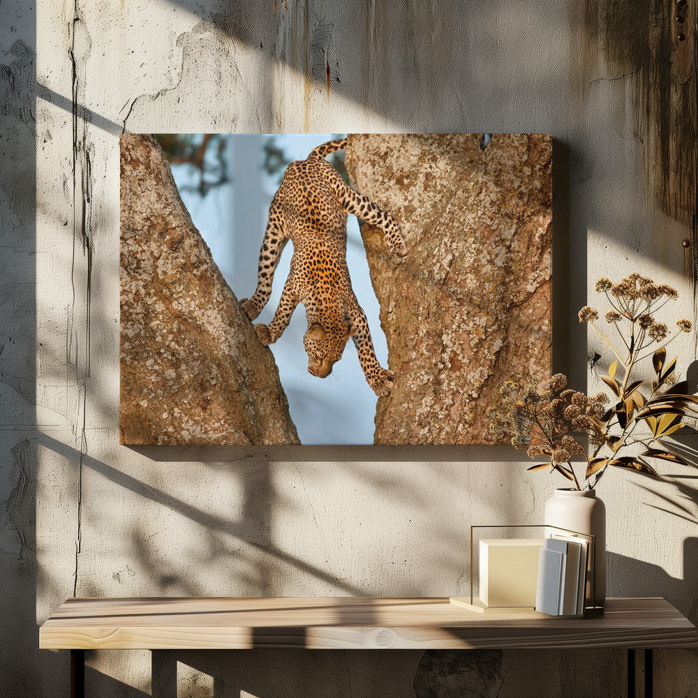 Ondersteboven | Canvas
