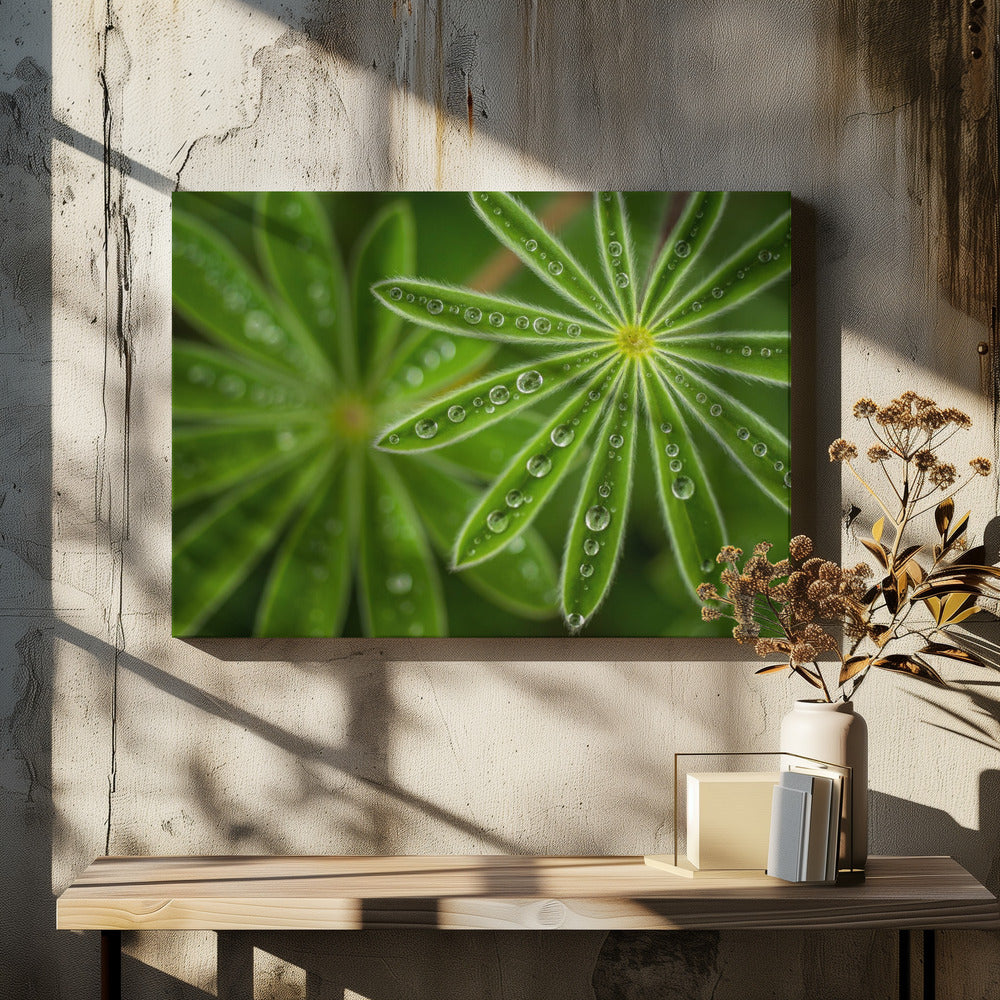 Parelwitte Lupine | Canvas