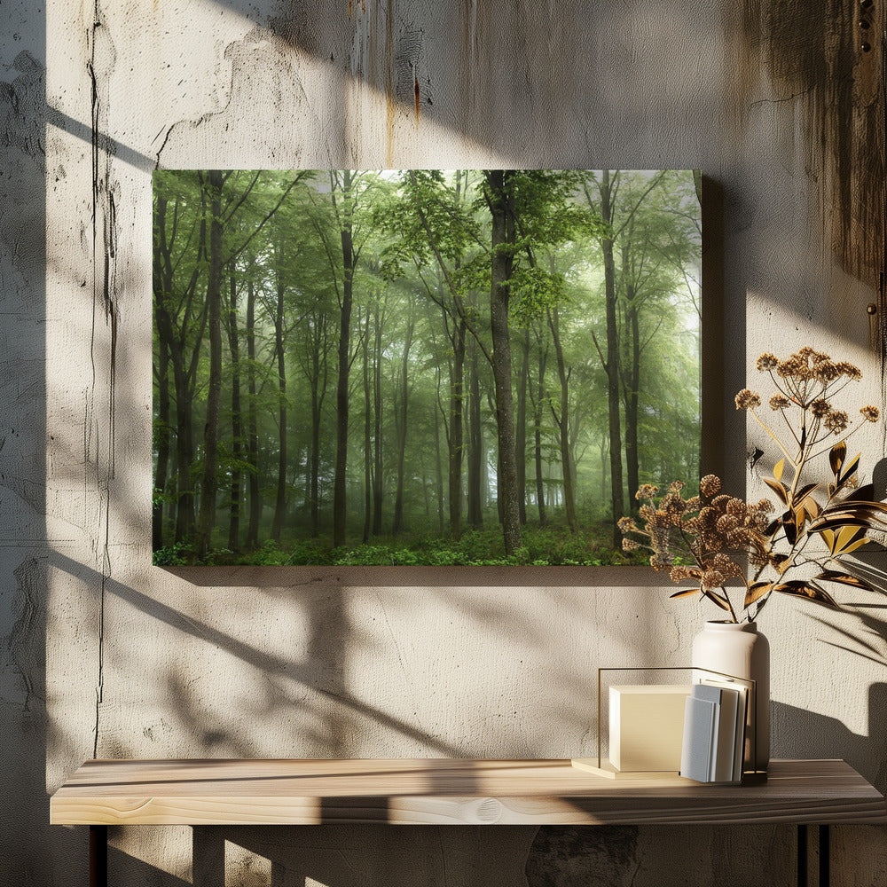 Bos... | Canvas