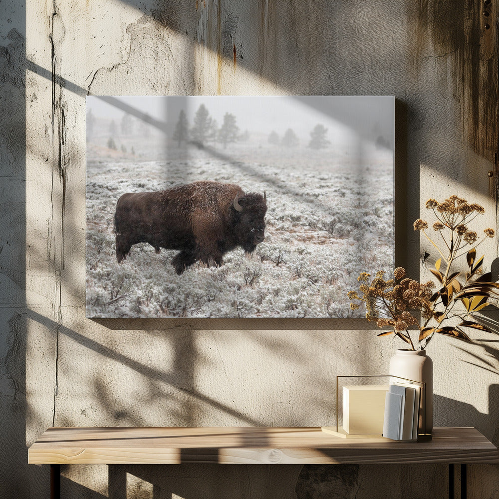 Yellowstone in de late herfst | Canvas
