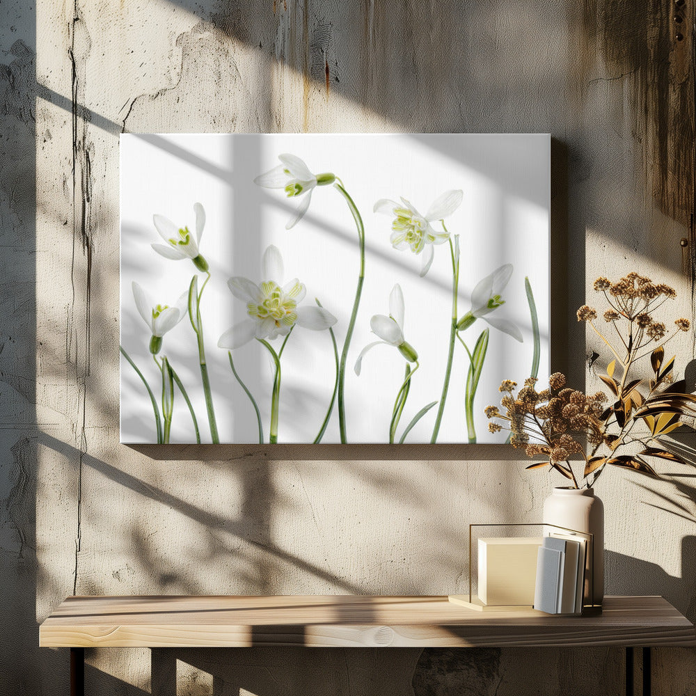 Lentesneeuwklokjes | Canvas