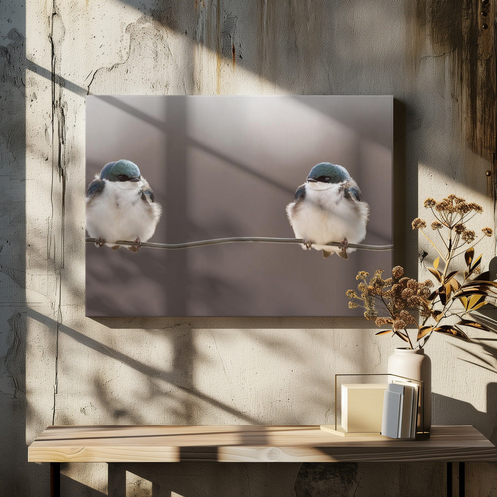 Vogels op een draad | Canvas