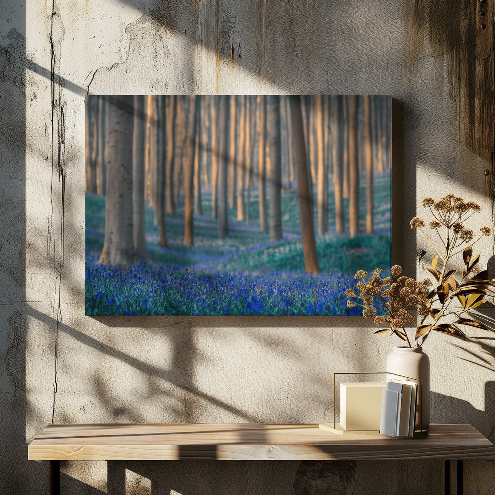 Dromen zijn hiervan gemaakt | Canvas