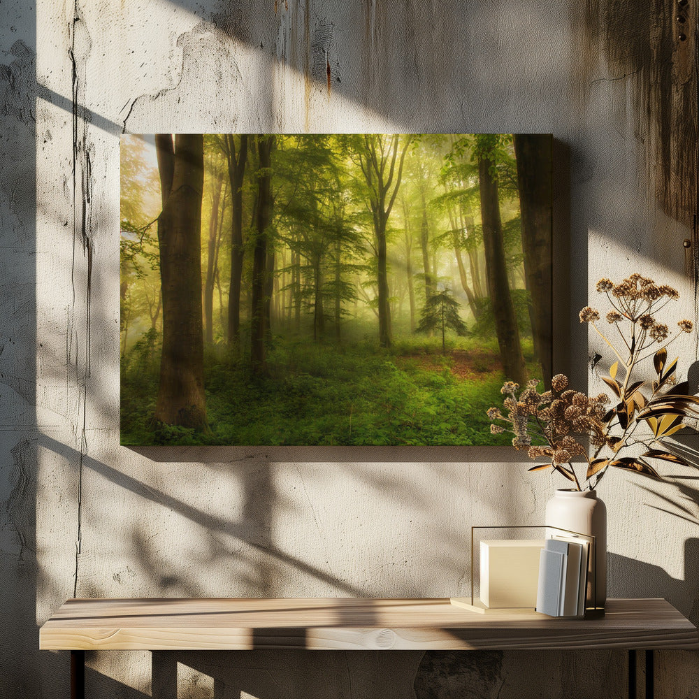 Het kleine boompje | Canvas