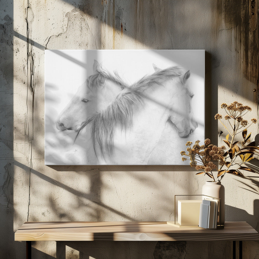Paarden | Canvas