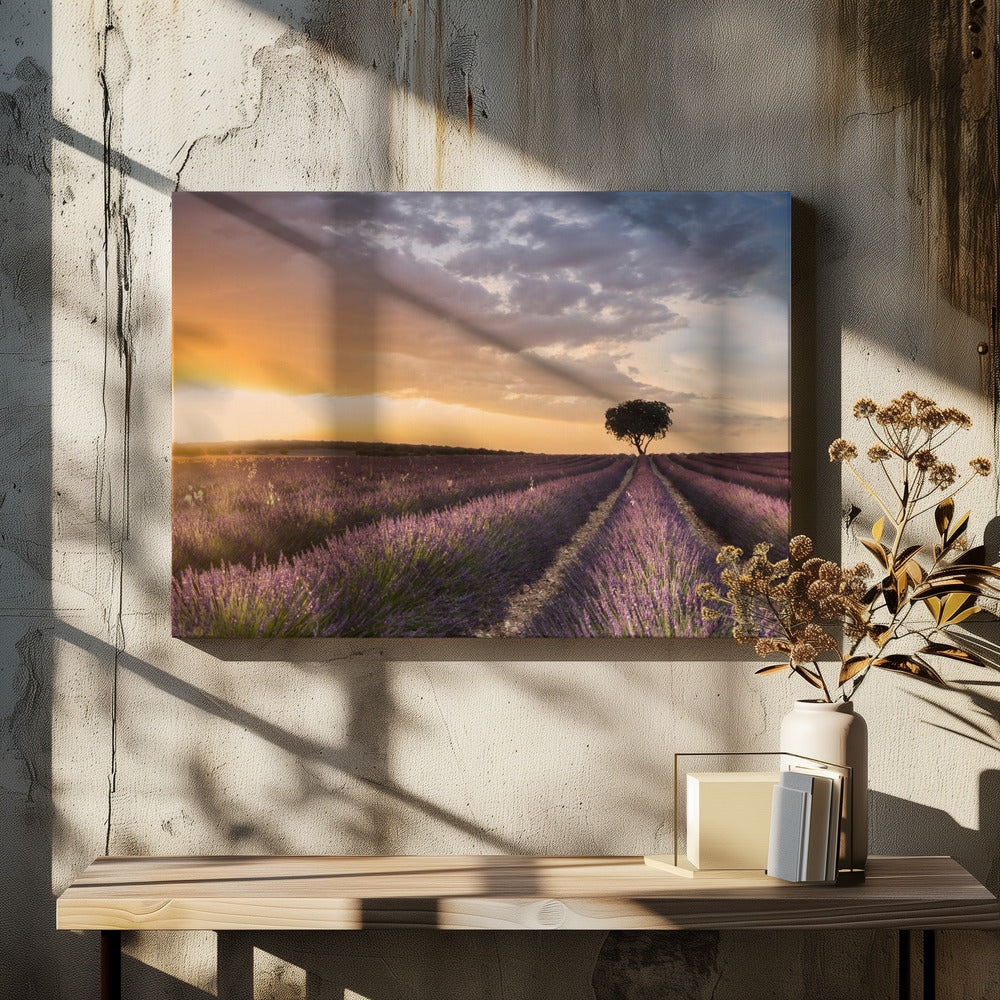 BESTEMMING LAVENDEL | Canvas