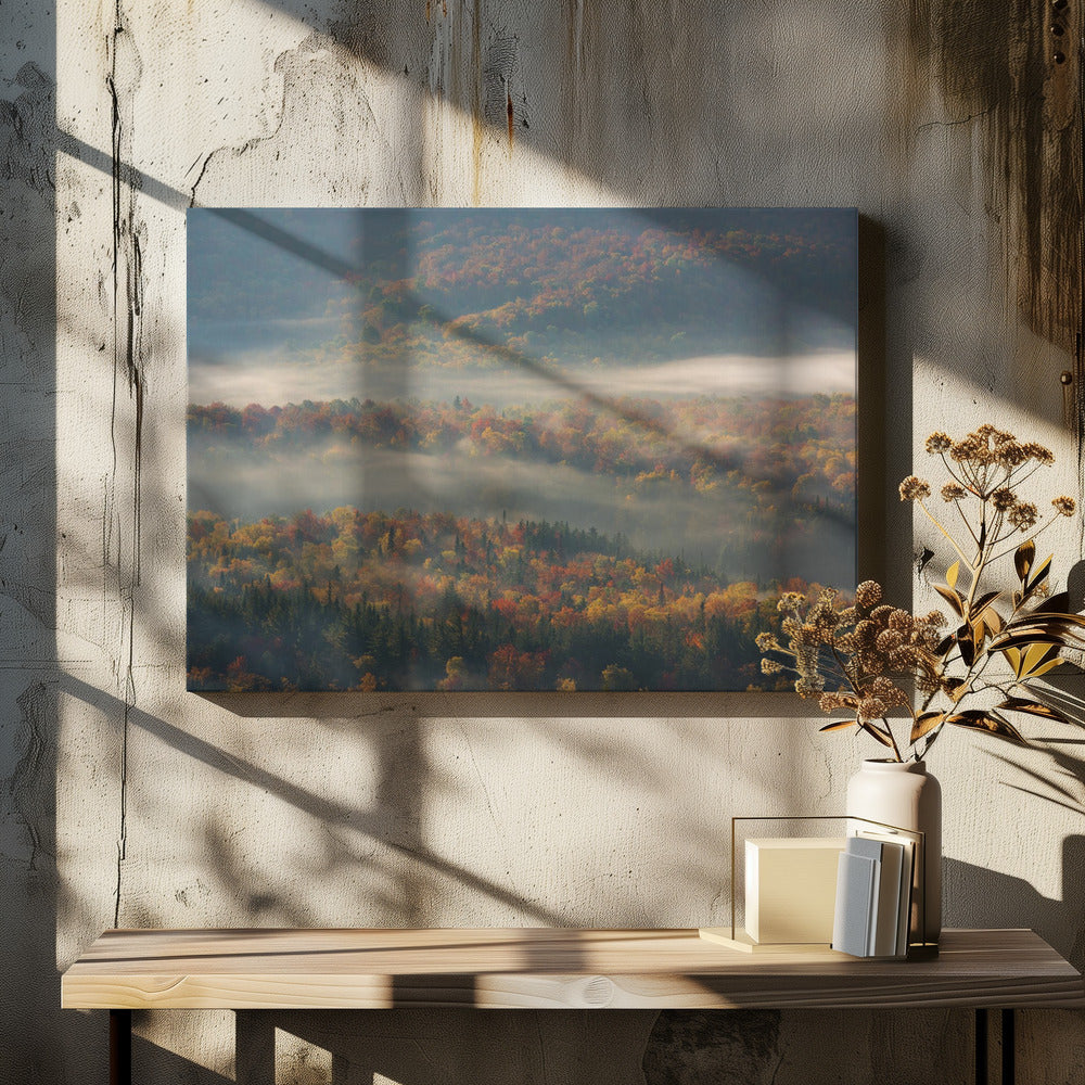Mistige ochtend | Canvas