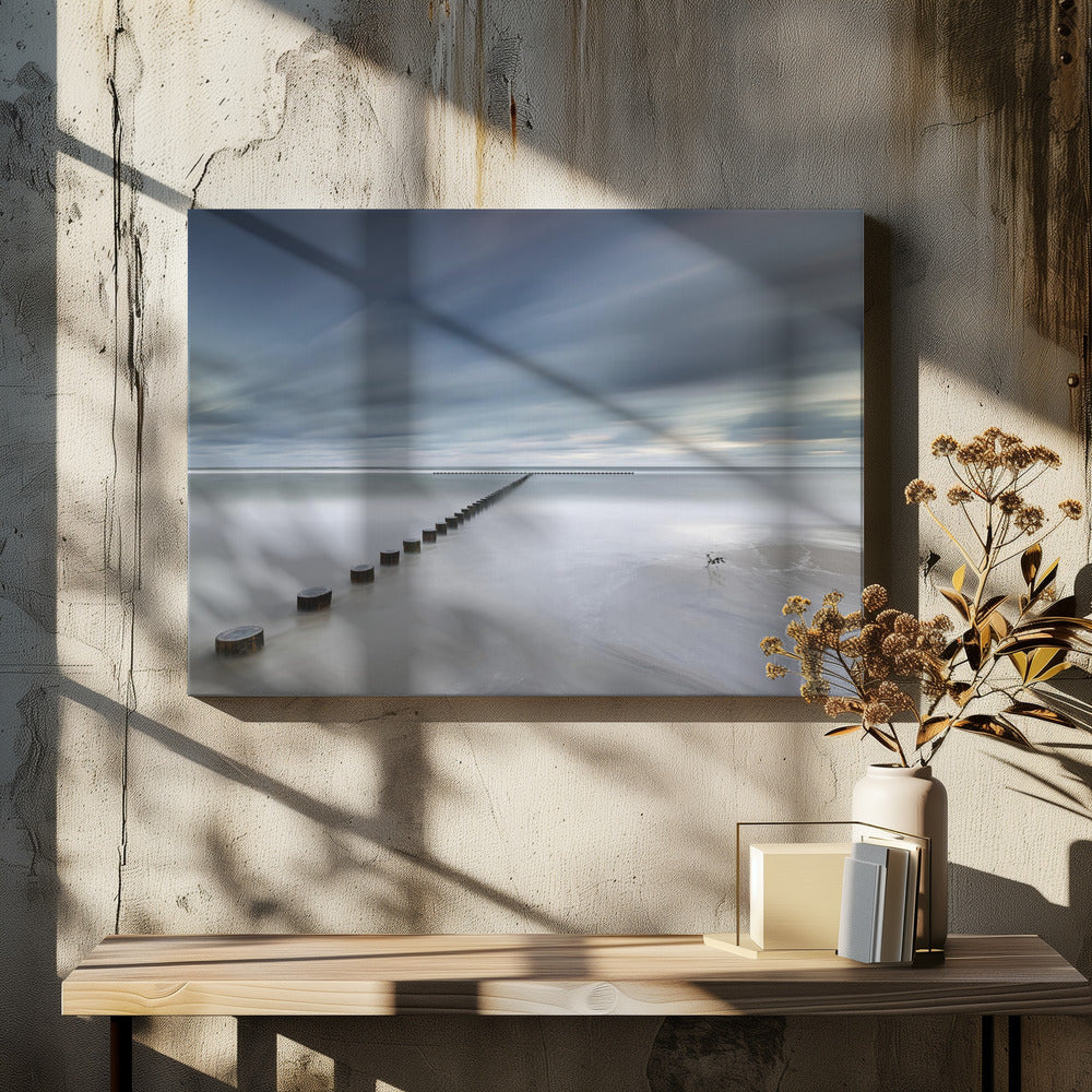 T | Canvas