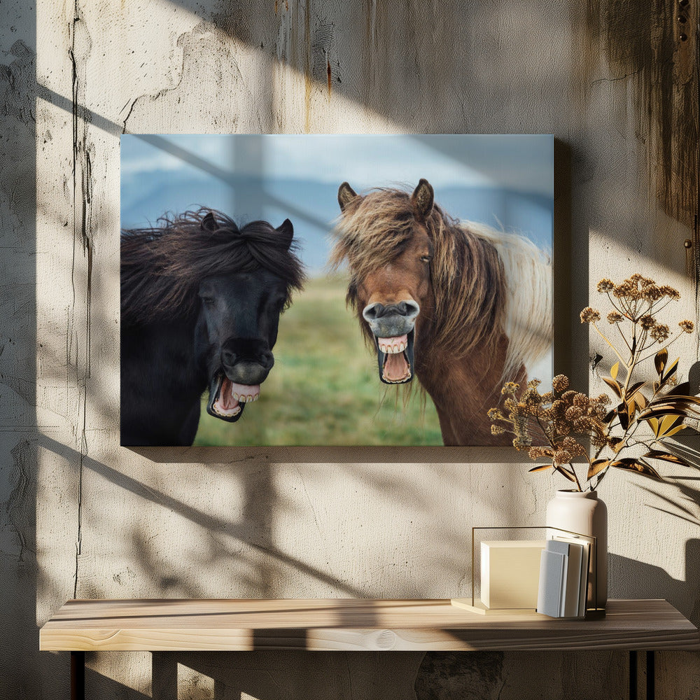 WILDE GLIMLACH | Canvas