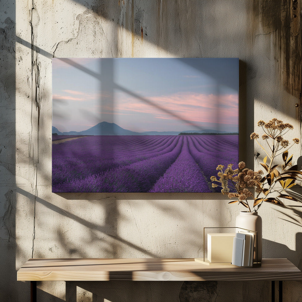 Lavendelveld | Canvas