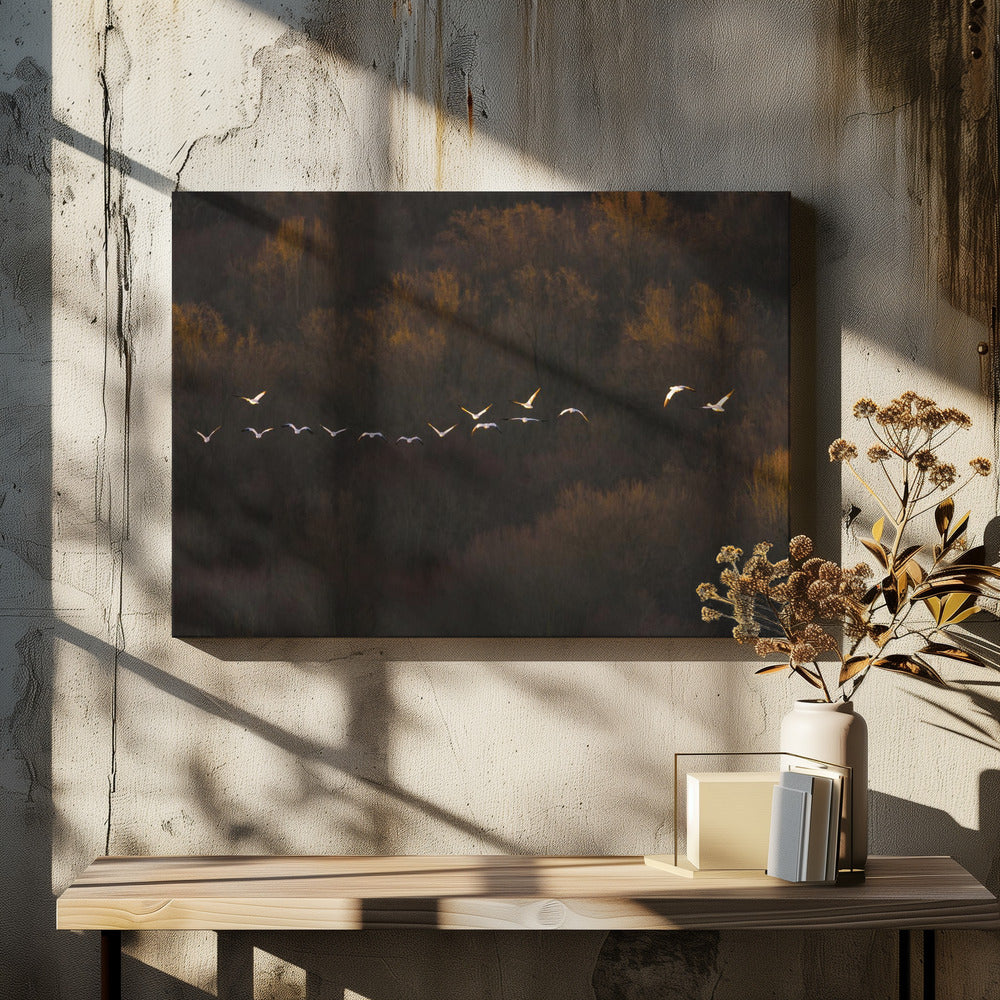 Ochtendstemming | Canvas