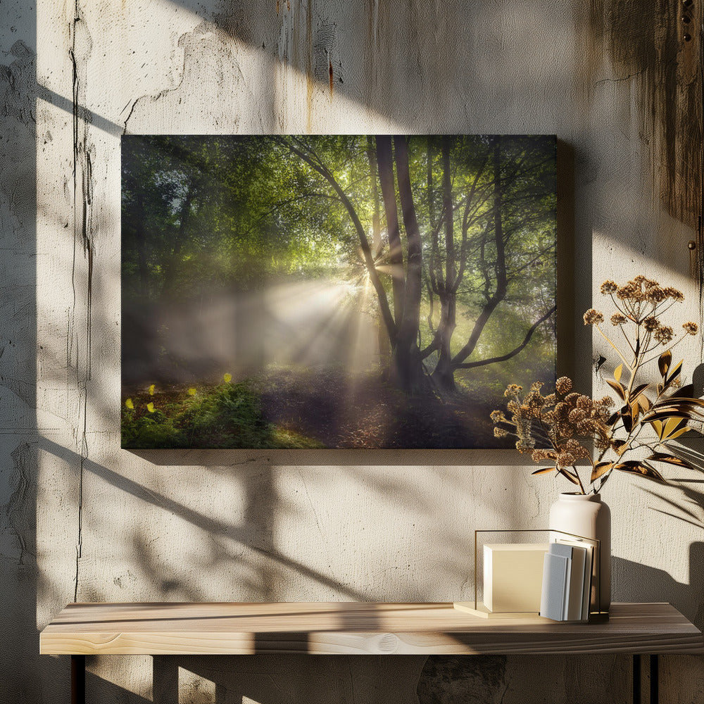 Het ochtendlicht | Canvas