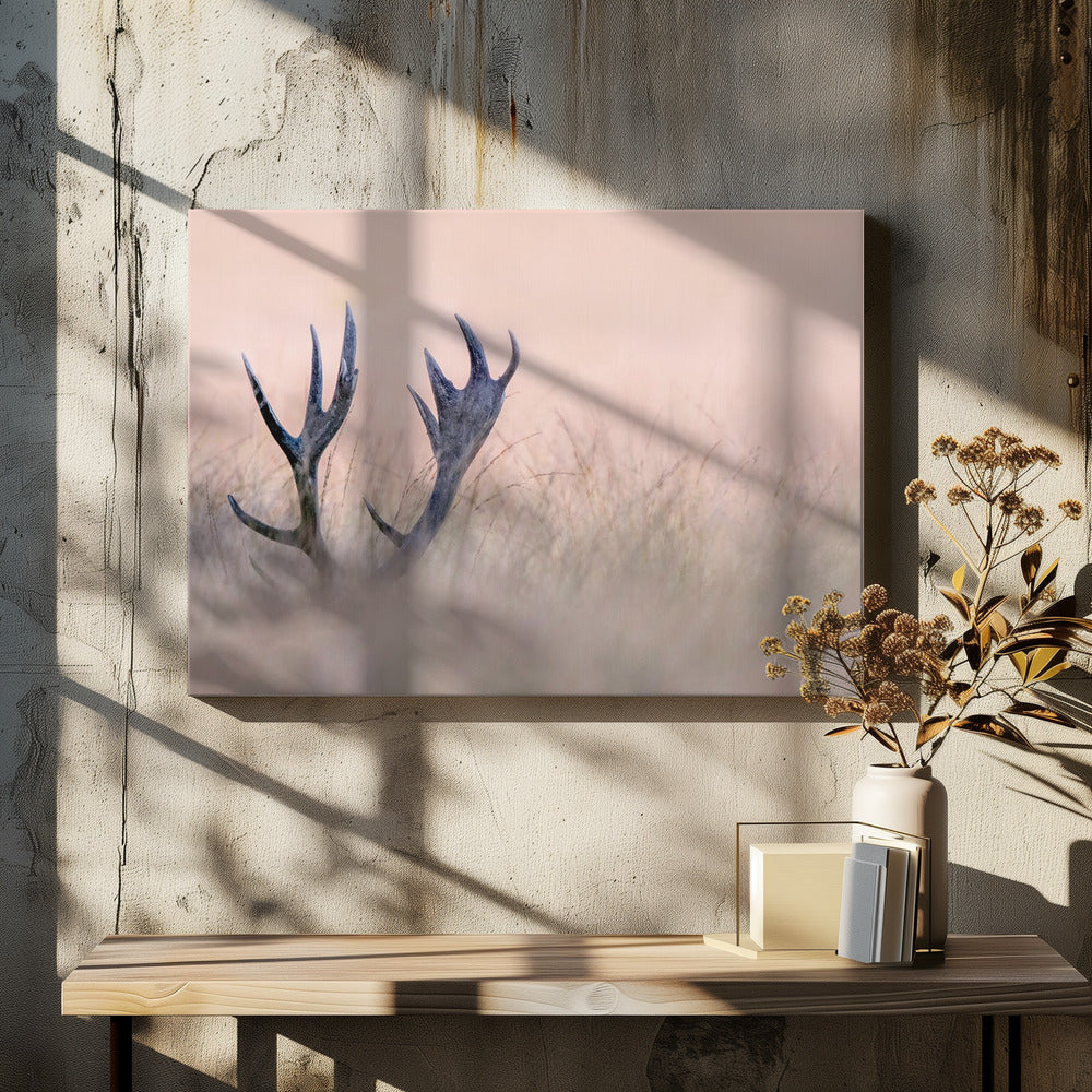 Verstoppertje (Hoorn van een hert) | Canvas