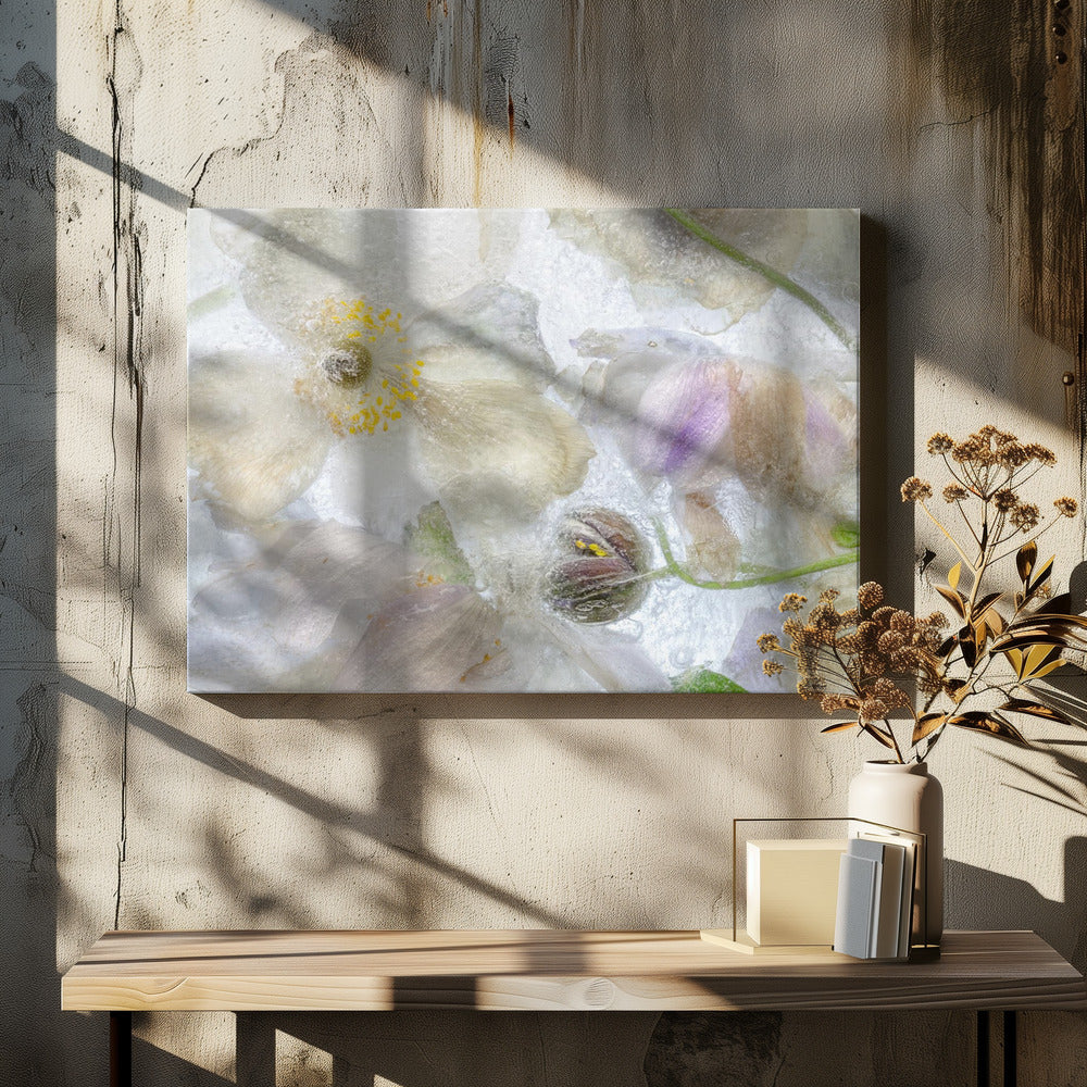 Anemoonvorst | Canvas