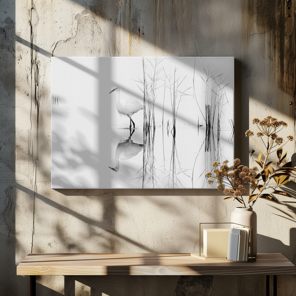 wit | Canvas
