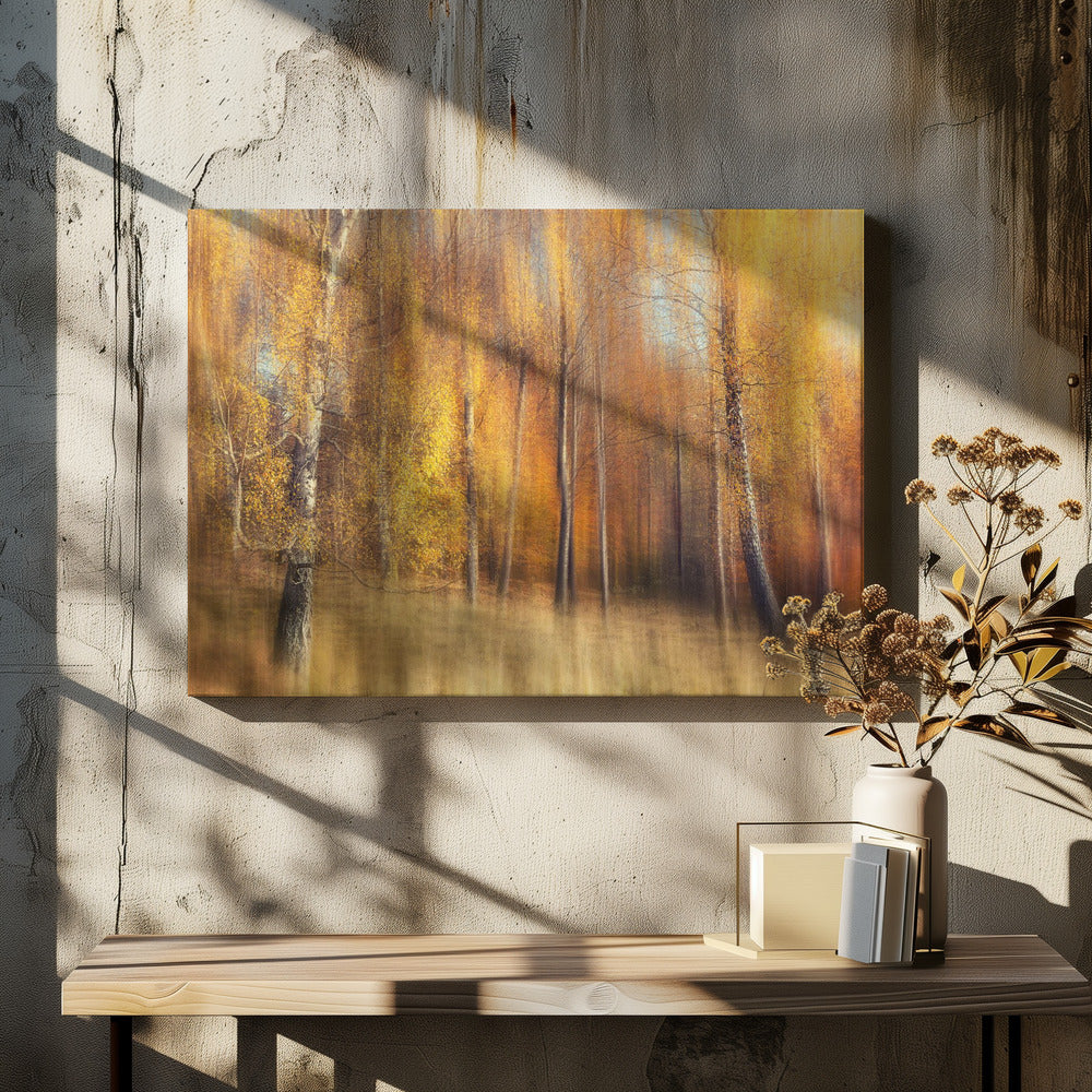 Herfstberken | Canvas
