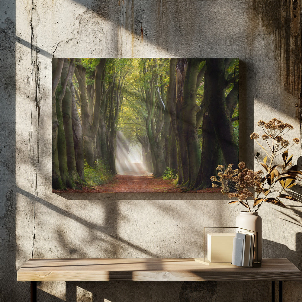 Een glorieuze dag | Canvas