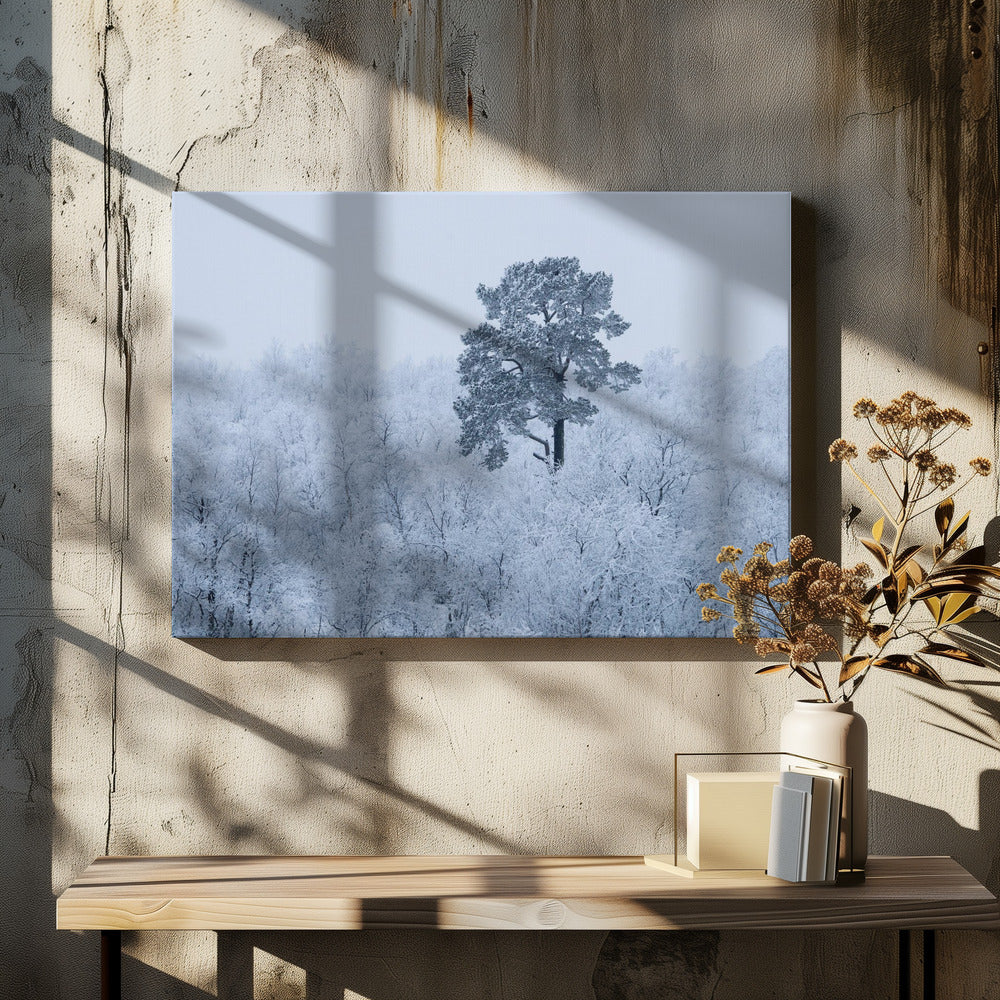 Eerste sneeuw | Canvas