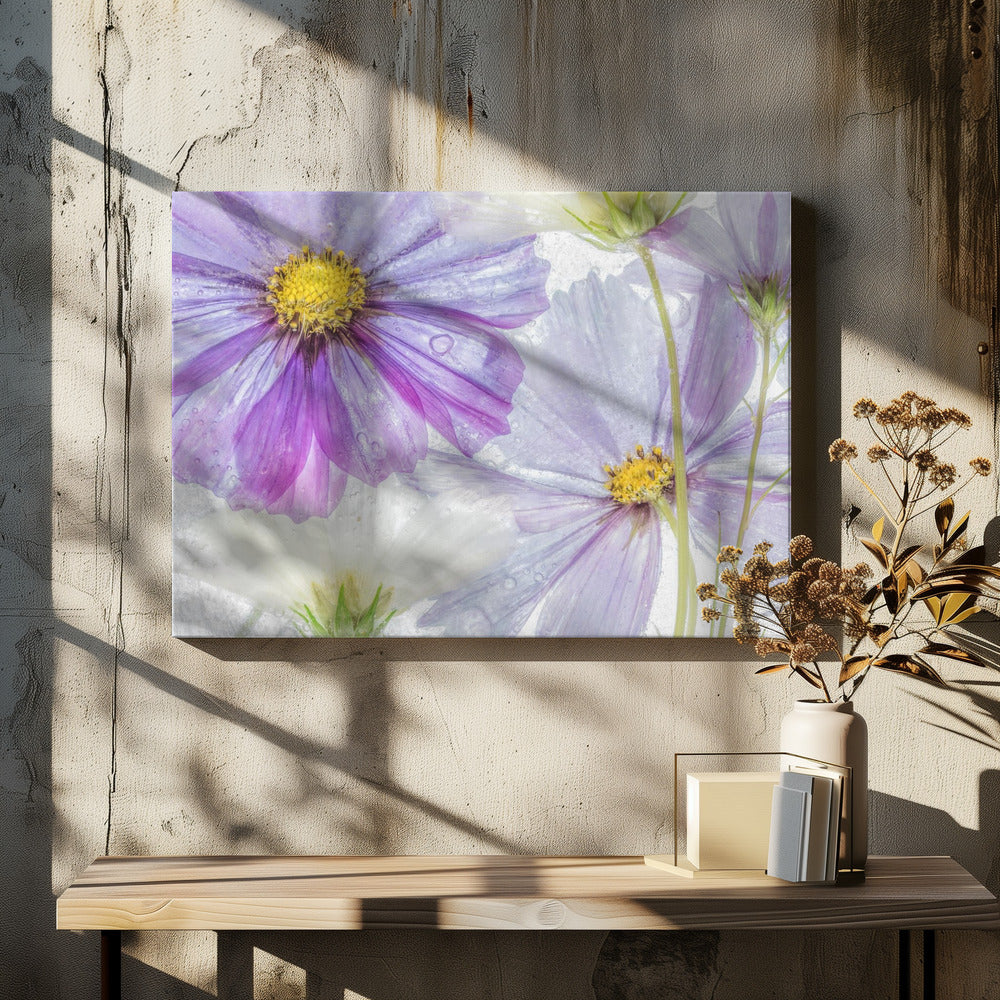 Kosmos cool | Canvas