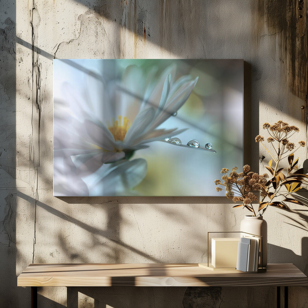 Lichte aanraking... | Canvas