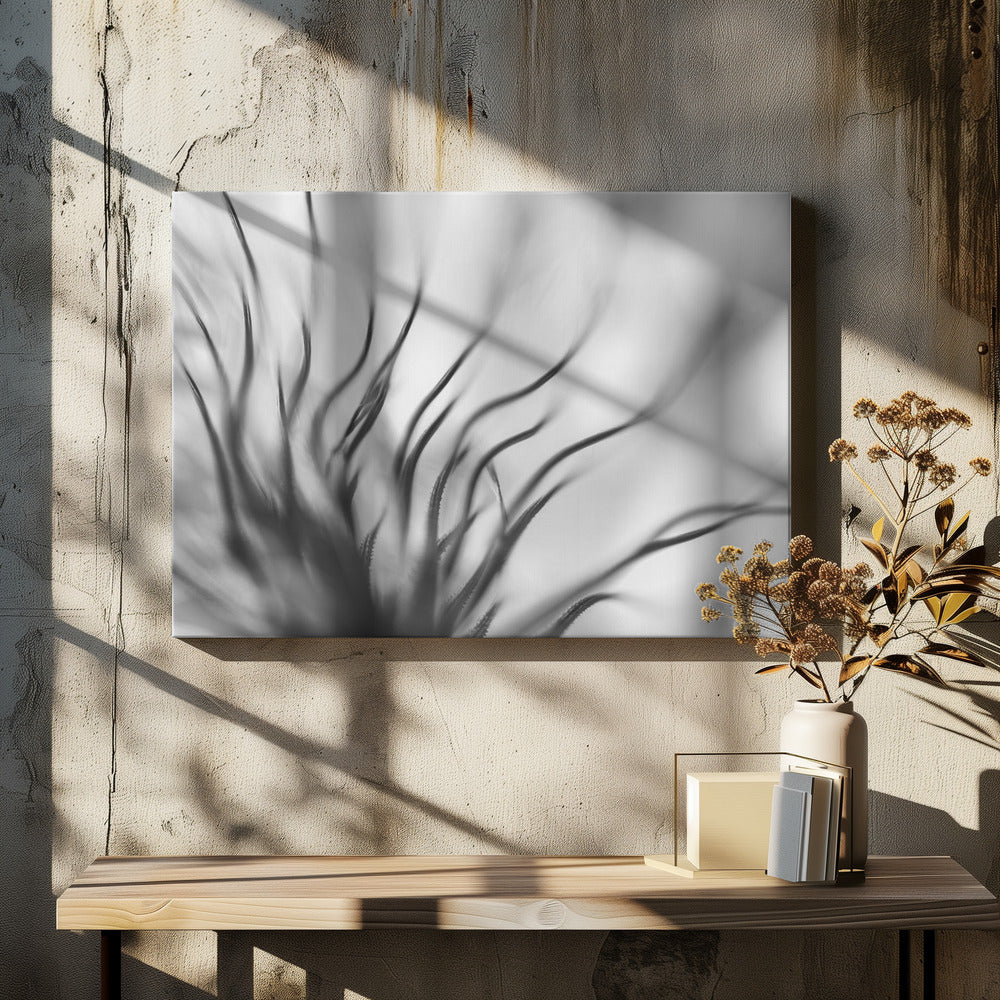 Untitled | Canvas