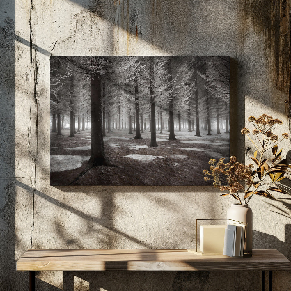 Het begin van de winter | Canvas