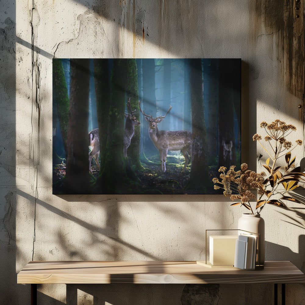 Herten | Canvas