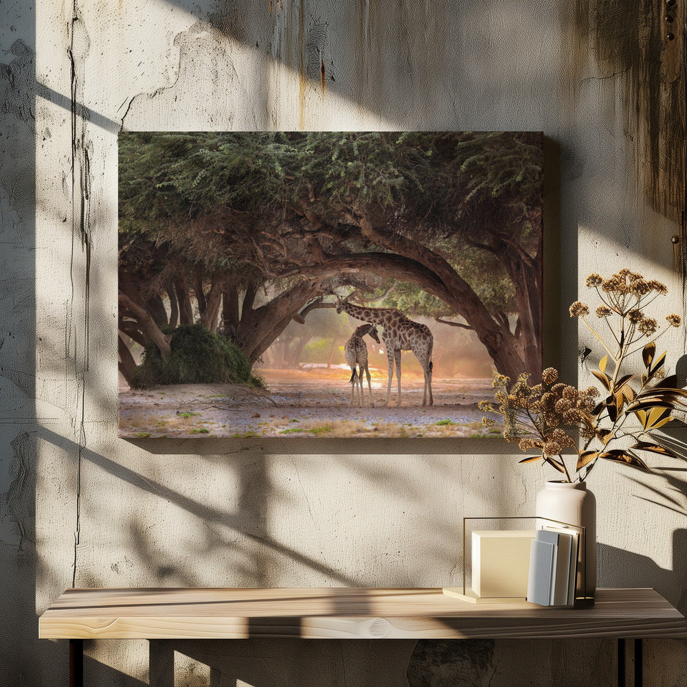 Giraf - Namibië | Canvas