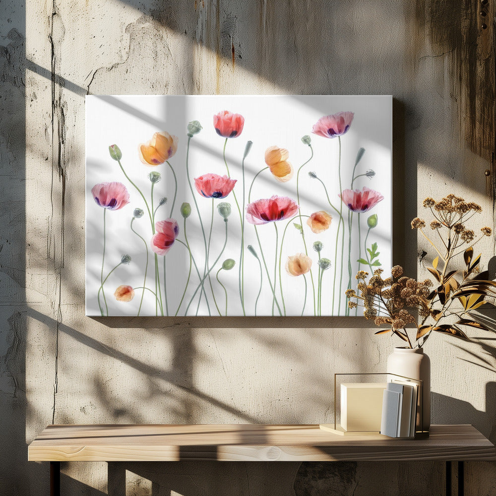 Papaverfeest | Canvas