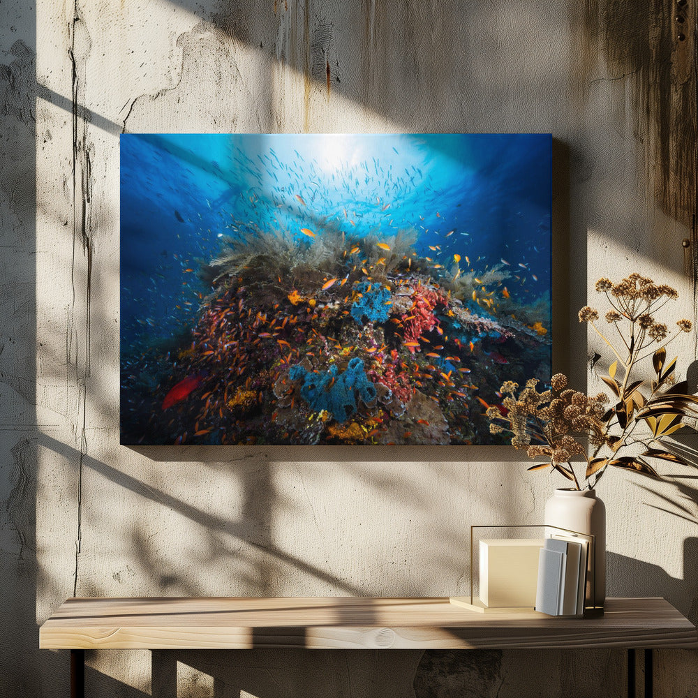 Apneu | Canvas