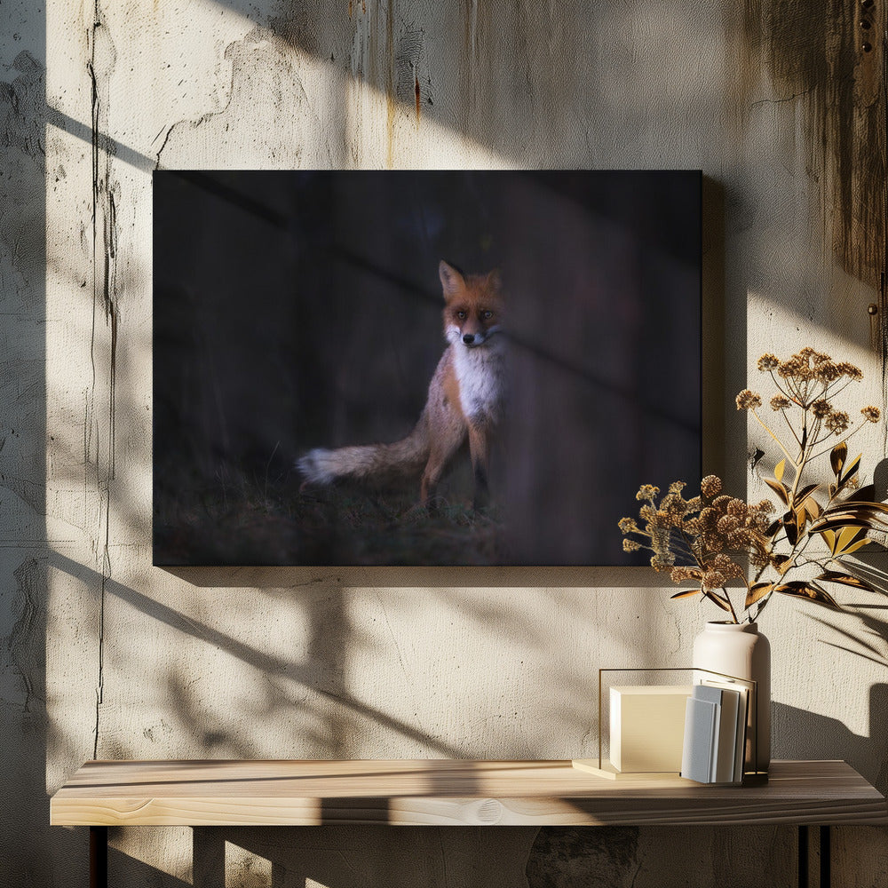 Blikken | Canvas