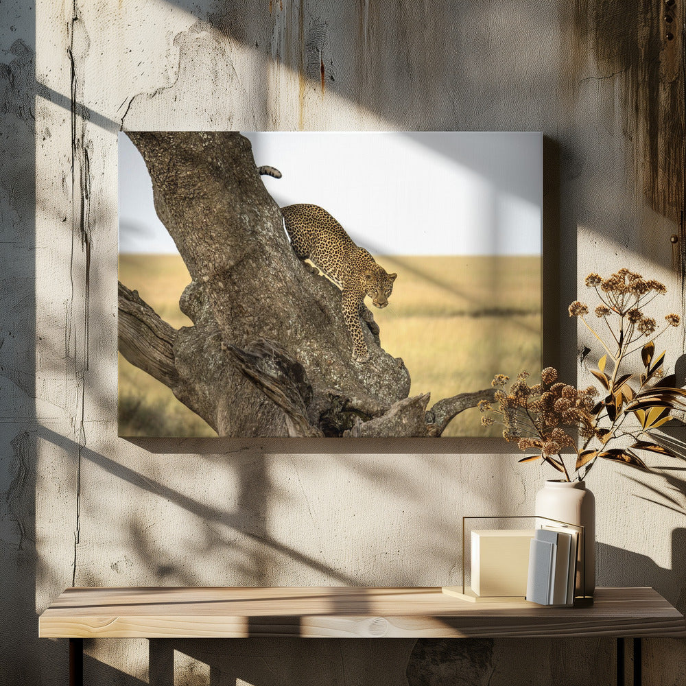 Luipaard - Serengheti, Tanzania | Canvas