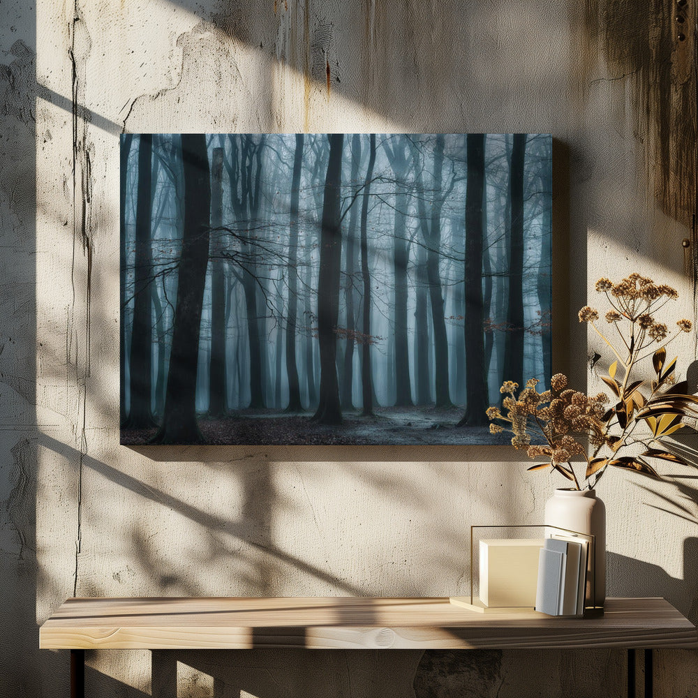 Wij allemaal | Canvas