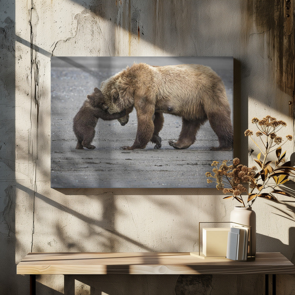Een kleine berenknuffel | Canvas