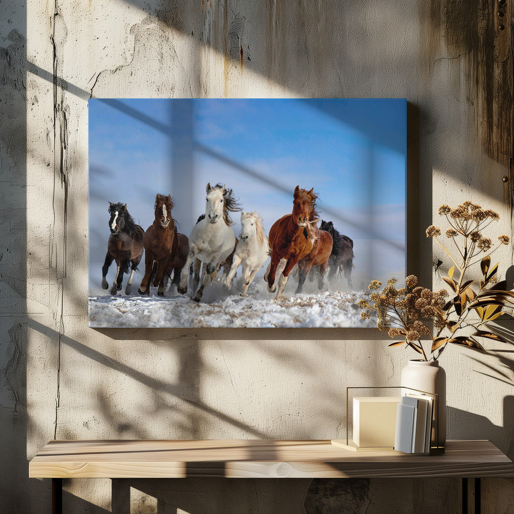 Mongoolse paarden | Canvas