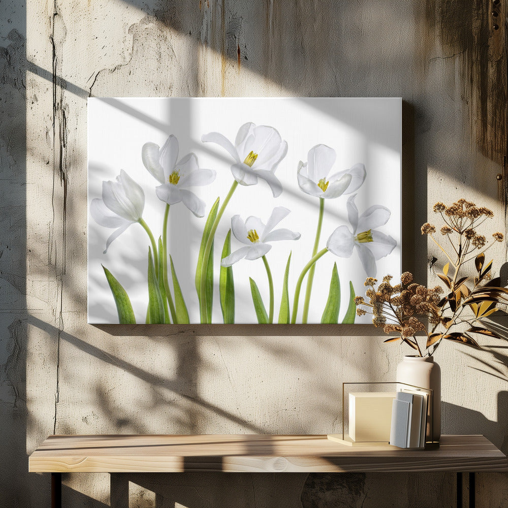 Witte Tulpen | Canvas