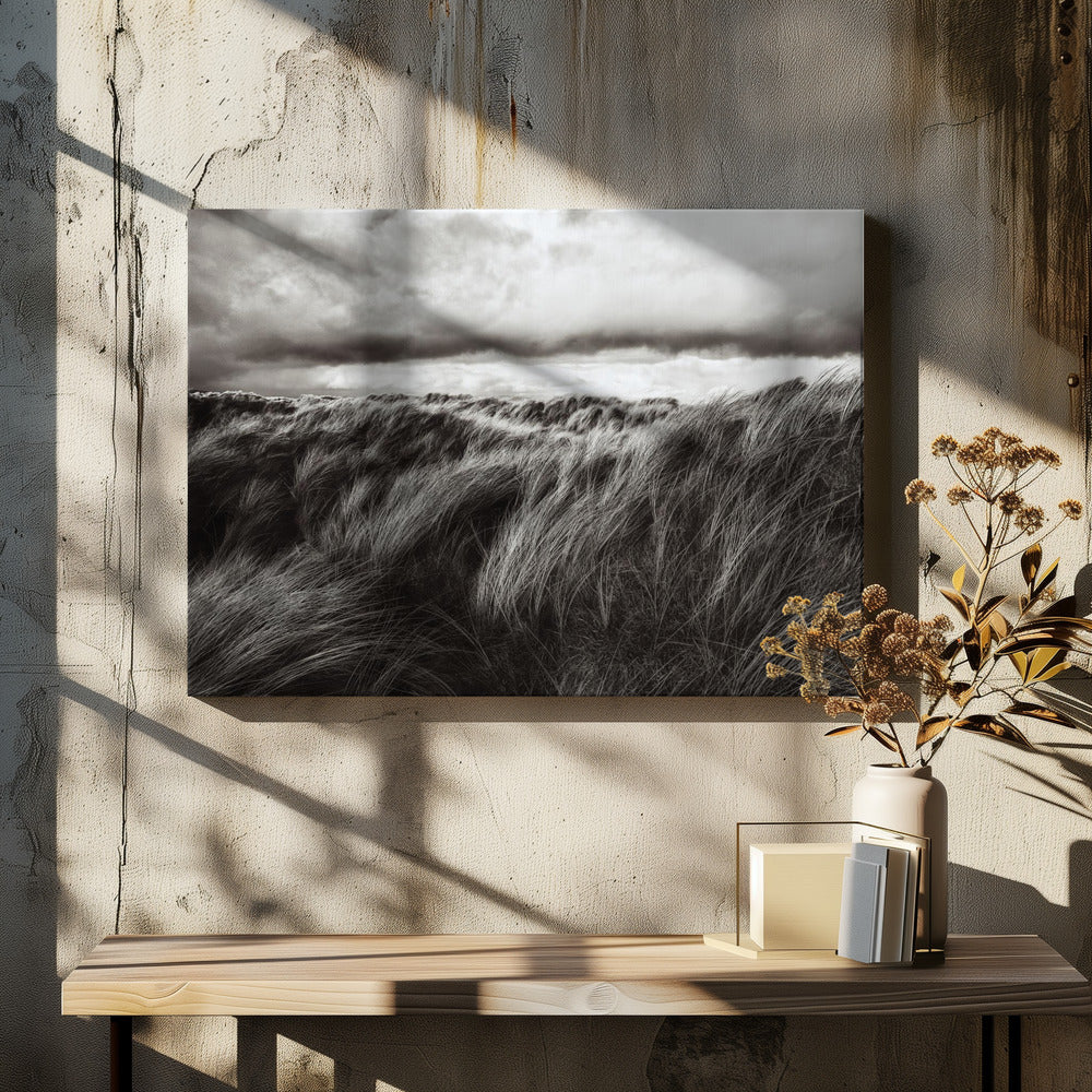 Duinen van gras | Canvas