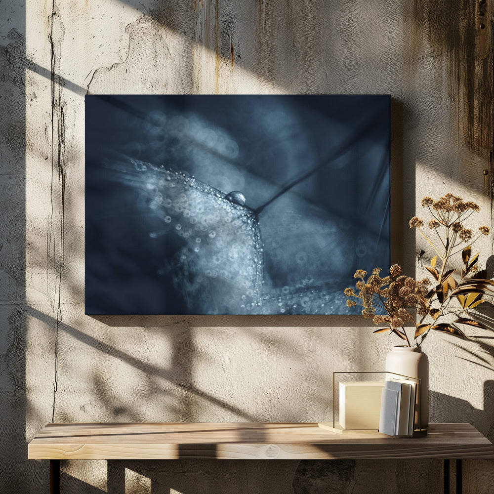 Blauwe paardenbloemen | Canvas