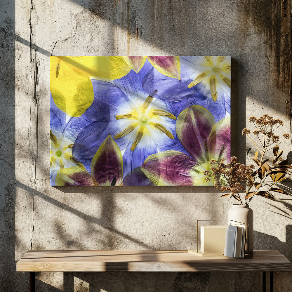 Tulpen | Canvas