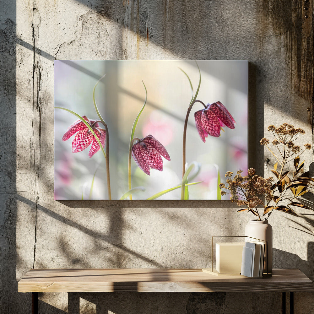Slangenkopparelmoervlinder | Canvas