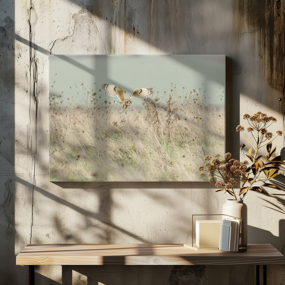 Jacht op velduil | Canvas
