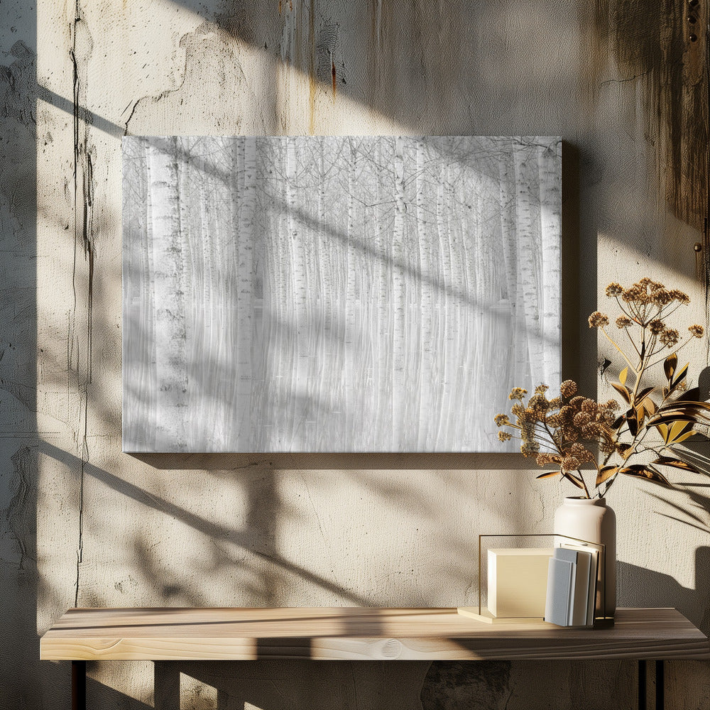 Trees | Canvas
