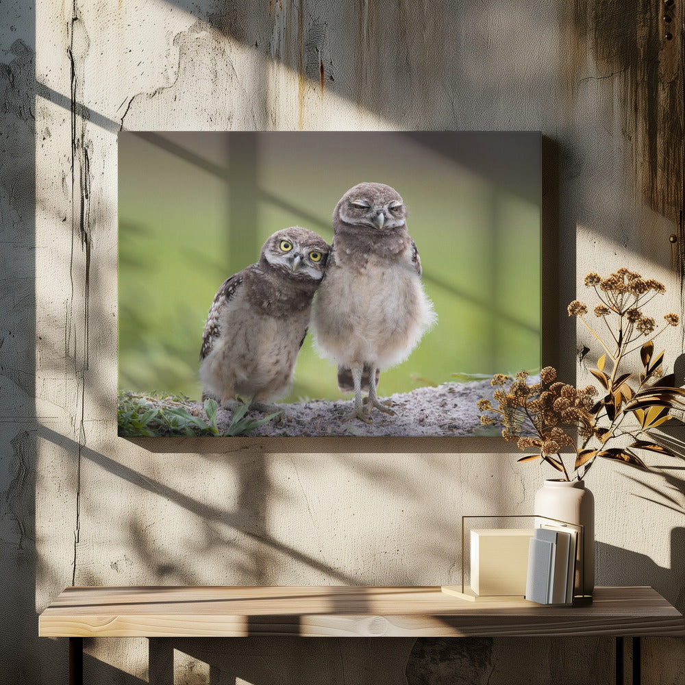 Vrienden | Canvas