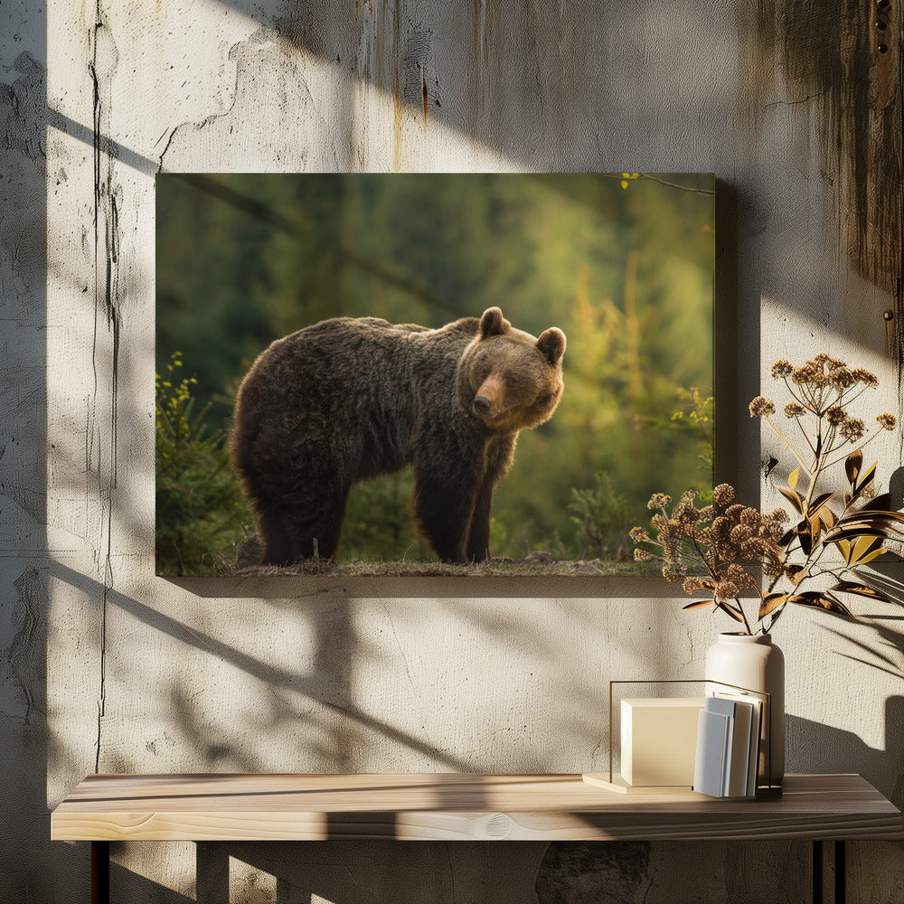 Beer met tegenlicht | Canvas