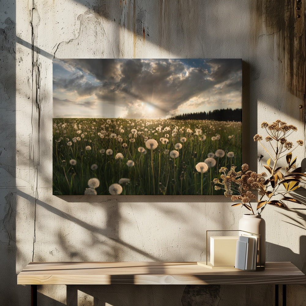 Gloeilampen | Canvas