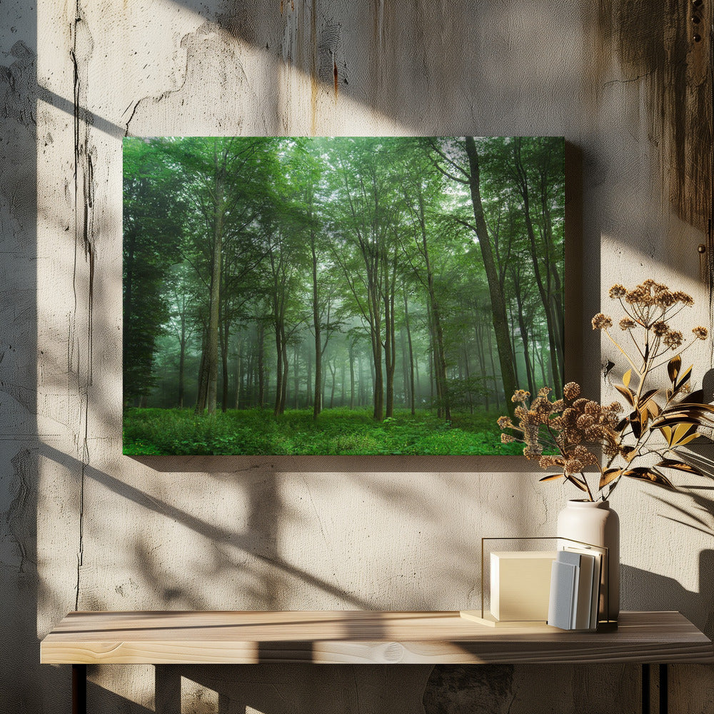 Boszicht | Canvas