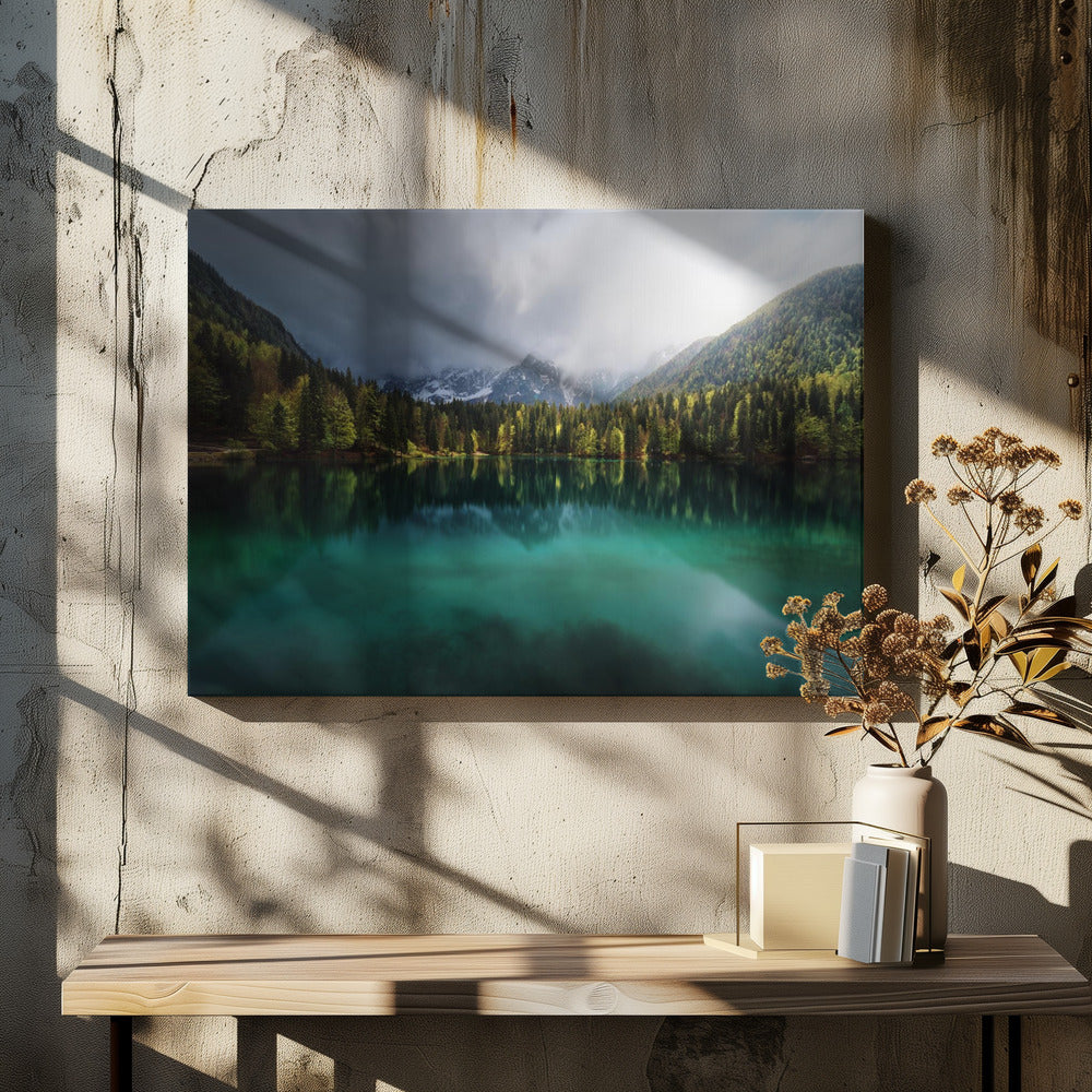 Menta. | Canvas